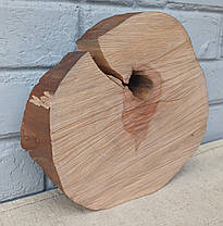 Зріз дерева для виготовлення декоративних виробів, d 230х230мм., фото 2