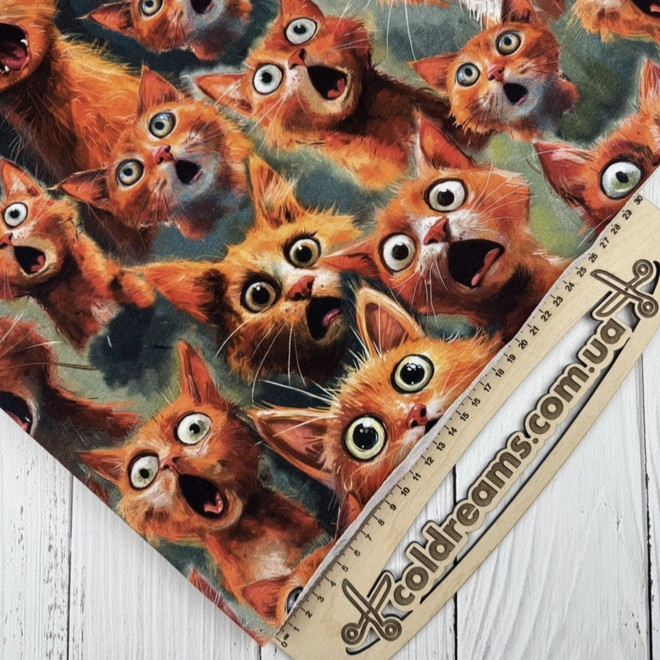 Стрейч кулір принт "Котострофа" - 180см. (діджитал)