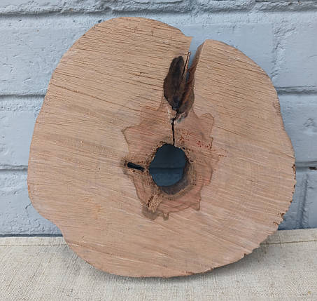 Декоративний зріз натурального дерева, 230х230мм. (не калібрований), фото 1