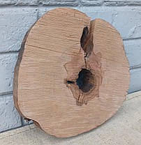 Декоративний зріз натурального дерева, 230х230мм. (не калібрований), фото 2