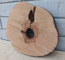 Декоративний зріз натурального дерева, 230х230мм. (не калібрований), фото 3