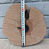 Декоративний зріз натурального дерева, 230х230мм. (не калібрований), фото 6