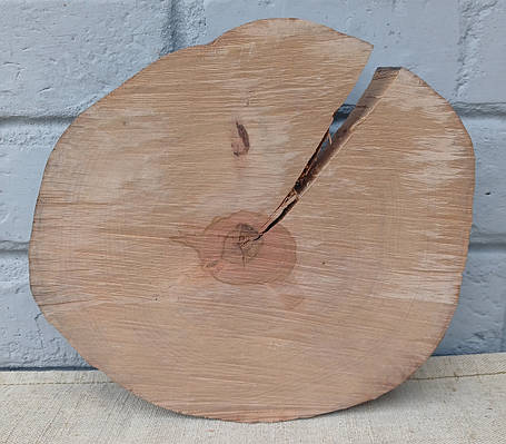 Зріз натурального дерева для заливки столів, 210х220мм., фото 1
