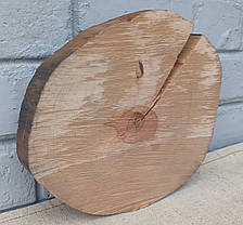 Зріз натурального дерева для заливки столів, 210х220мм., фото 2
