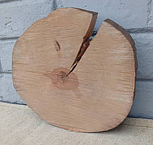 Зріз натурального дерева для заливки столів, 210х220мм., фото 3