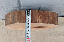 Зріз дерева для творчості, d 220х220мм. не калібрований, фото 4