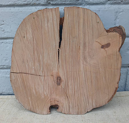Зріз натурального дерева для декору, інтер'єру, творчості, d 230х240мм., фото 1