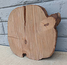Зріз натурального дерева для декору, інтер'єру, творчості, d 230х240мм., фото 2