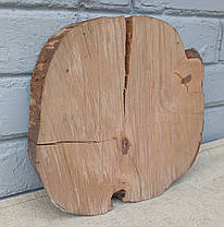 Зріз натурального дерева для декору, інтер'єру, творчості, d 230х240мм., фото 3