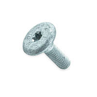 Болт кріплення натягувача ременя генератора Volkswagen, Skoda (m8x10x25) (VAG)