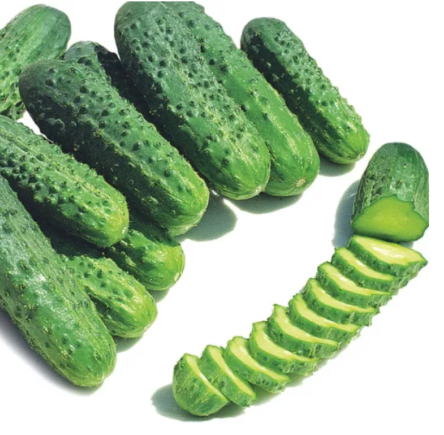 Насіння огірка Альянс F1 Bejo 250