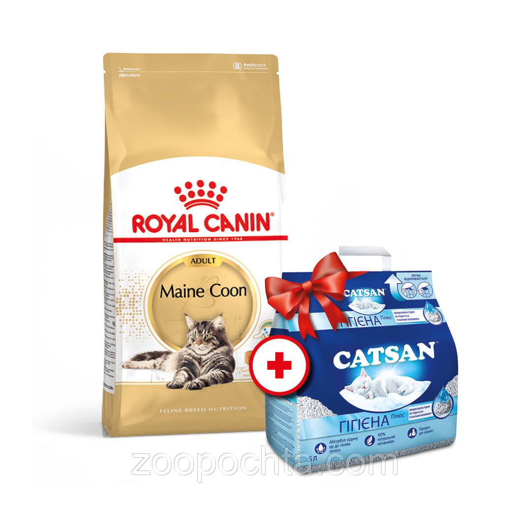 Акція! Сухий корм Royal Canin Maine Coon Adult (Роял Канін Мейн Кун) для кішок, 4 кг + Catsan 5 л, фото 1