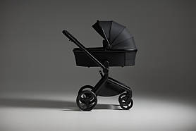 Універсальна коляска Anex Flo, Lungo