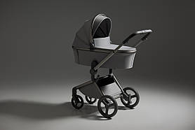 Універсальна коляска Anex Flo, Frossy