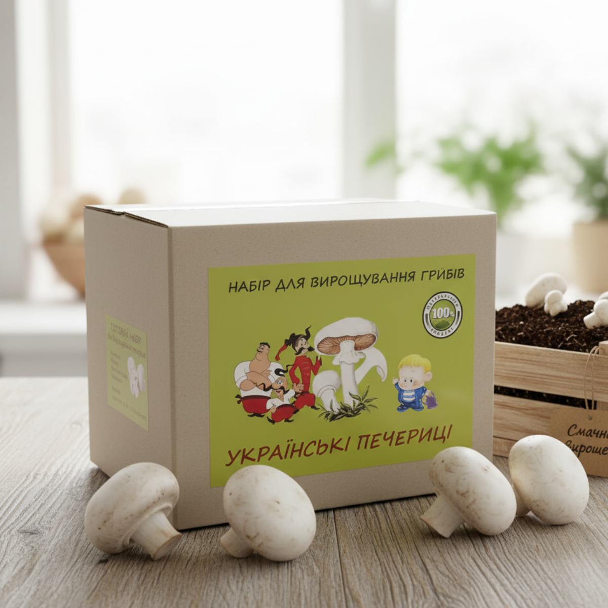 УКРАЇНСЬКІ ПЕЧЕРИЦІ Набір для вирощування білих печериць вдома з міцелієм, фото 1