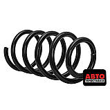 Пружина підвіски задня KYB RC6343, фото 3