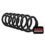 Пружина підвіски задня KYB RH6788, фото 2