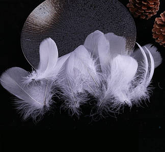 Декоративне Пір'я / Пухнасті / Упаковка ≈ 45-50 шт / від 4 до 8 см / Сірий №18