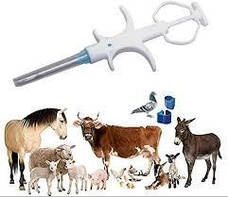 Ветеринарія