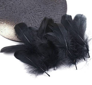Декоративне Пір'я / Пухнасті / Упаковка ≈ 45-50 шт / від 6 до 12 см / Чорний №17