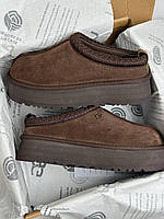 UGG Tasman Platform Brown (коричневі) 39