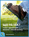 Так чому ж Газони Восени виглядають краще, ніж влітку?