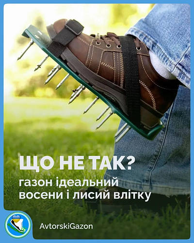 Так чому ж Газони Восени виглядають краще, ніж влітку?