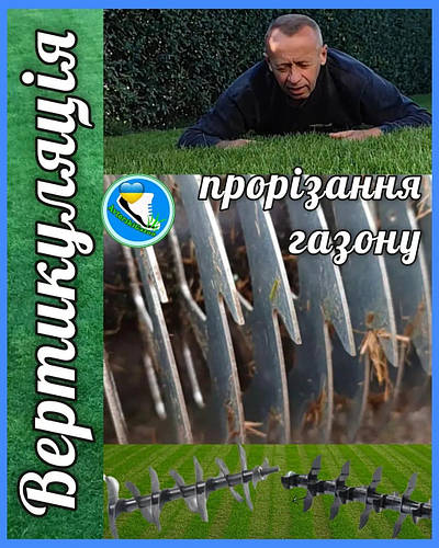 Вертикуляція- розрізання газону в кінці спекотного сезону. Могу не робити?