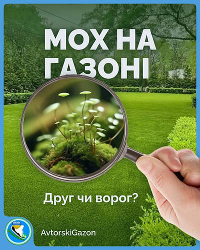Мох на газоні: друг чи ворог? Зберігай цей допис