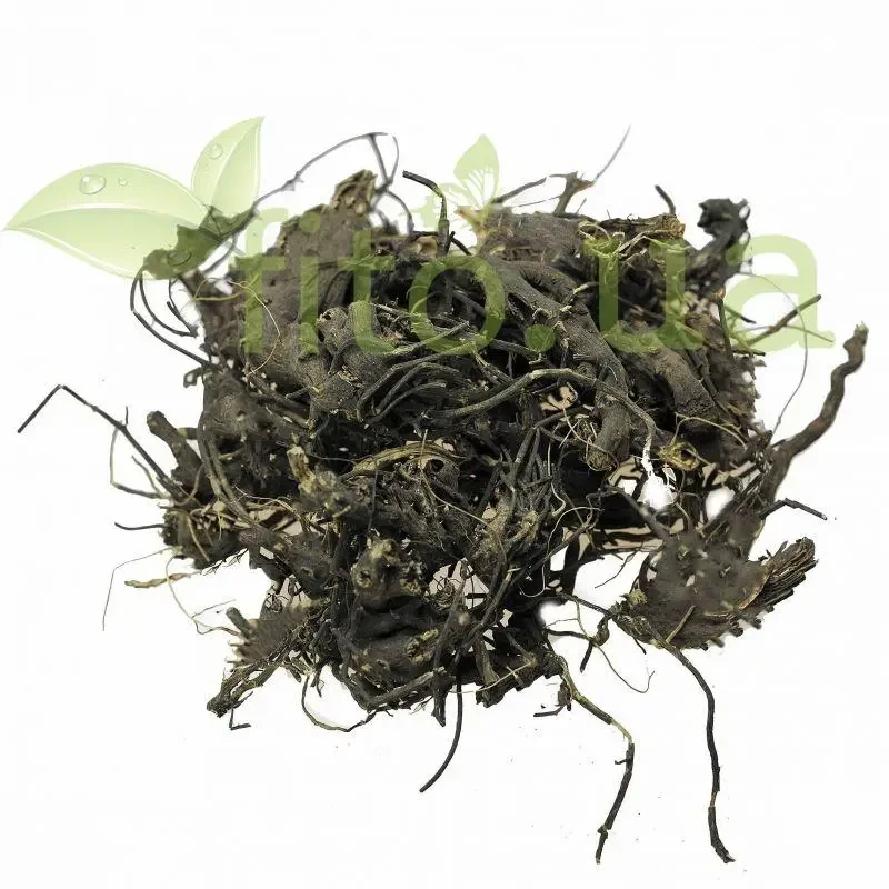 Цимицифуга корінь, клопогін кистевидний 100 гр., фото 1