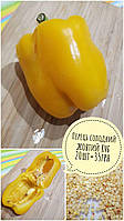 Насіння перцю «Жовтий Куб» (20 шт.) збір 2025рік