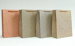 Пакет подарунковий "Смужки", 20×25×13,5 см