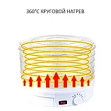 Сушильний апарат сушарка для фруктів, овочів та інших продуктів, сушарка, дегідратор.Zepline 029, фото 5