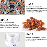 Сушильний апарат сушарка для фруктів, овочів та інших продуктів, сушарка, дегідратор.Zepline 029, фото 8