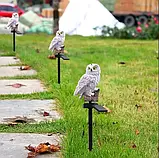 Садовий газонний світильник Сова на сонячній батареї водонепроникний 45 см., фото 2