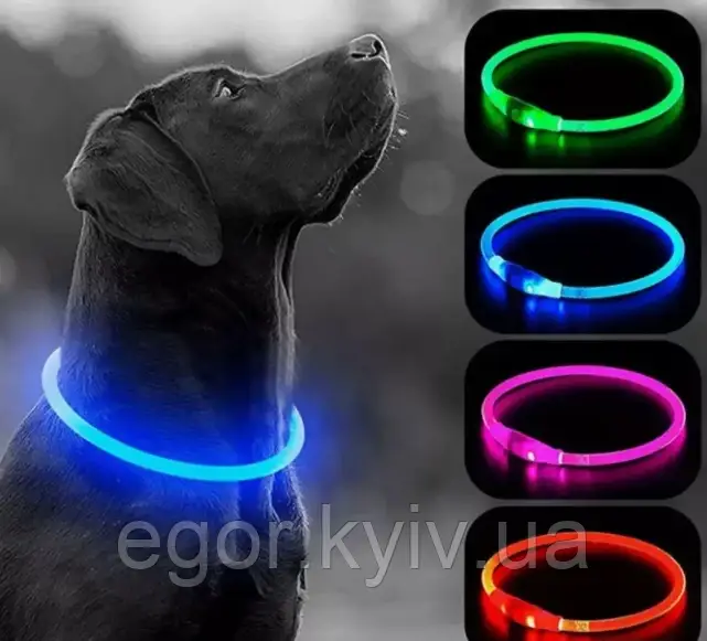 Світлодіодний вологостійкий нашийник для собак USB Размер М -  40 см, фото 1