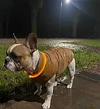 Світлодіодний вологостійкий нашийник для собак USB Размер М -  40 см, фото 8