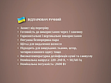 Відпарювач ручний паровий з щітками 2400Вт 250мл BITEK BT-1391B для одягу штор меблів очищення пари, фото 7