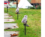 Садовий світильник на сонячній батареї сова ліхтар вуличний декоративний освітлення для саду нічний освітлювальний прилад, фото 4