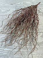 Гілка для декору . Осока декоративна хвиляста ( бронза , 50 см), фото 2