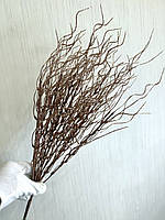 Гілка для декору . Осока декоративна хвиляста ( бронза , 50 см), фото 6
