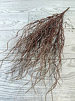 Гілка для декору . Осока декоративна хвиляста ( бронза , 50 см), фото 4