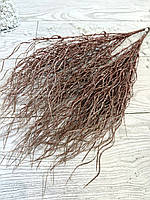 Гілка для декору . Осока декоративна хвиляста ( бронза , 50 см), фото 3