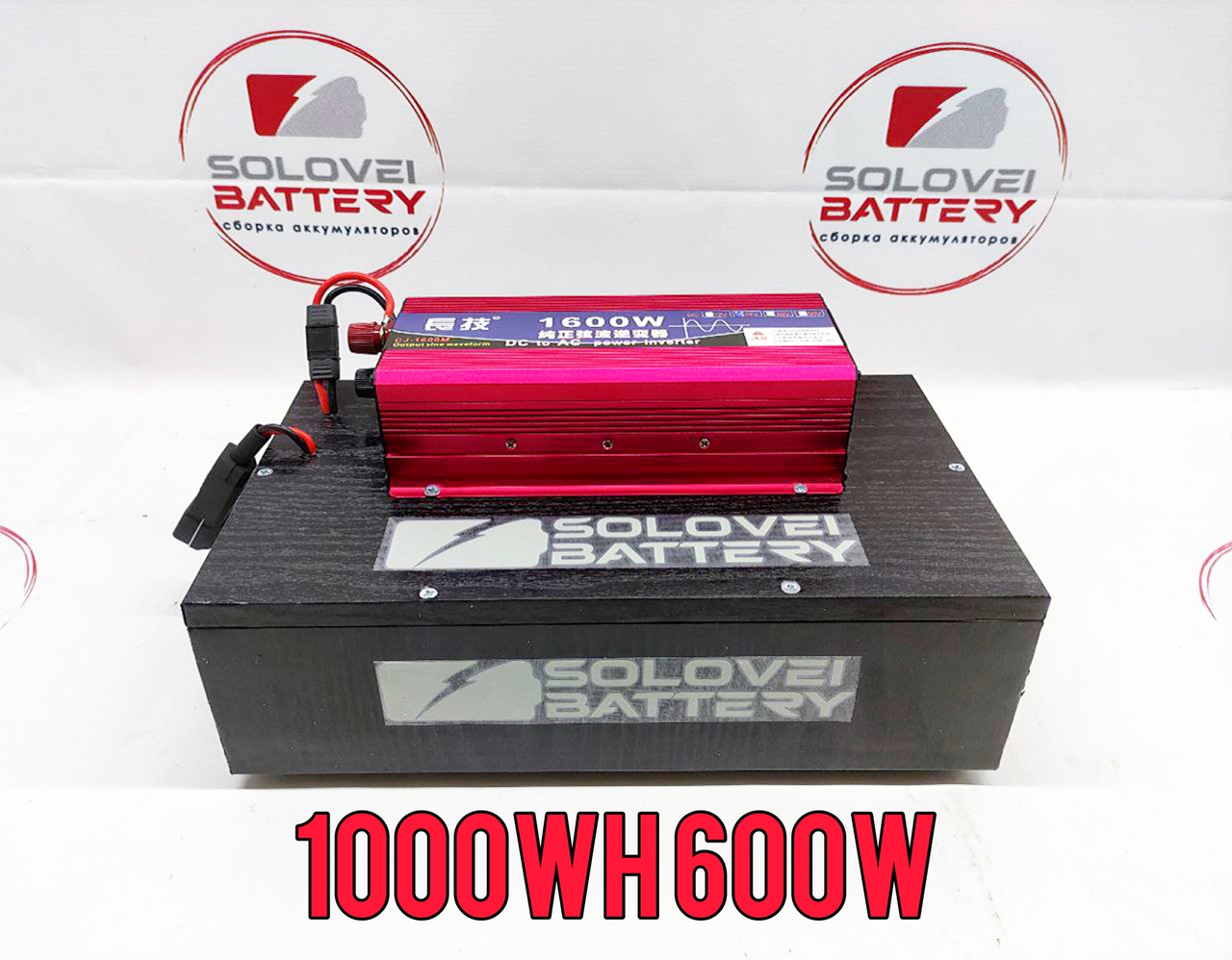 24 в 40ач 1000 Втч 600 W
 Переносна зарядна станція Мобільна електростанція з чистою синусоїдою, фото 1