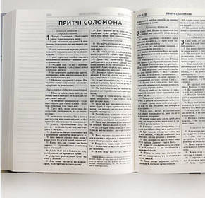 Біблія з полями для нотаток, молочного кольору у сучасному перекладі Турконяка, друге видання, 18х22см, фото 3