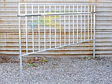 Перильна огорожа 1900х1600мм Цинк OL899, фото 4