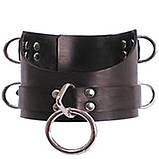 Широкий шкіряний нашийник, ошийники широкий з регульованими пряжками та металевим кільцем, фото 2