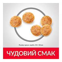 Сухий корм Hill's SP Feline Sensitive Stomach & Skin для котів з чутливим травленням з куркою, 0,3 кг, фото 4