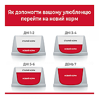 Сухий корм Hill's SP Feline Sensitive Stomach & Skin для котів з чутливим травленням з куркою, 0,3 кг, фото 5