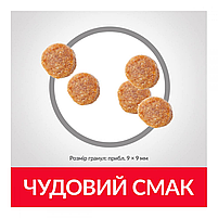 Сухий корм Hill's SP Sterilised Cat Adult для стерилізованих котів з тунцем, 0,3 кг, фото 4